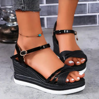 Metallic Wedge Sandals