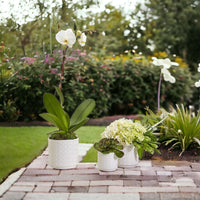 Webbing Ceramic Planters — alternate product view 8