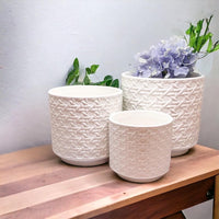Webbing Ceramic Planters — alternate product view 9