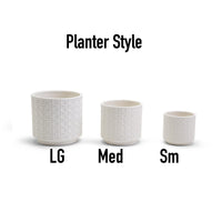 Webbing Ceramic Planters — alternate product view 4
