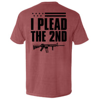 I Plead The 2nd (Back Print)