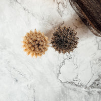 Natural Sisal Dish Brush — alternate product view 2