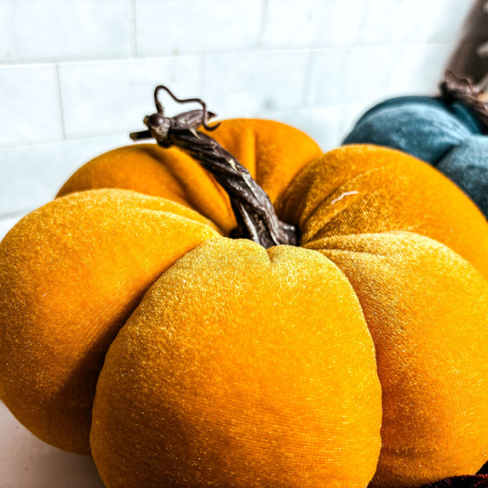Jewel-Tone Velvet Pumpkins — alternate product view 13