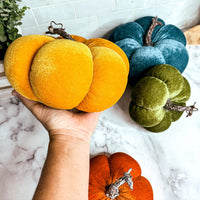 Jewel-Tone Velvet Pumpkins — alternate product view 14