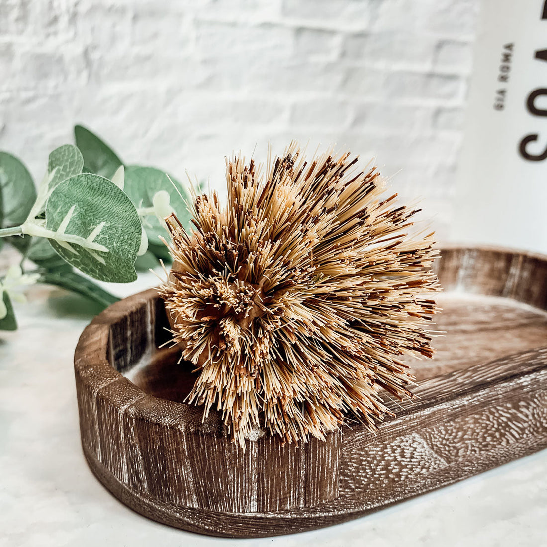 Natural Sisal Dish Brush — alternate product view 10
