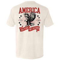 America 250 Years of Freedom
