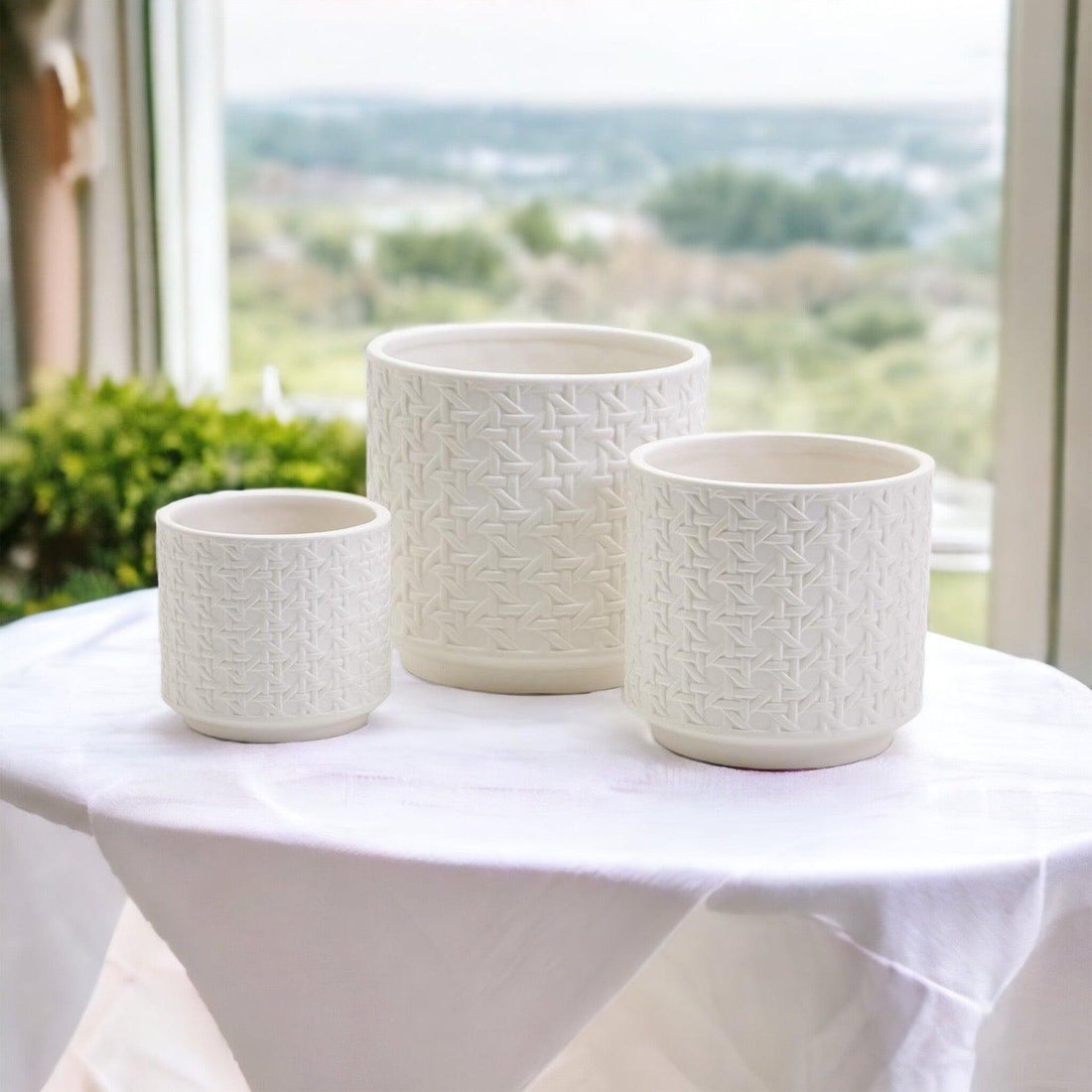 Webbing Ceramic Planters — alternate product view 6