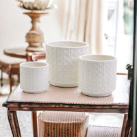 Webbing Ceramic Planters