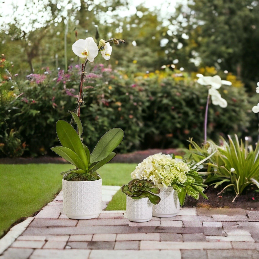Webbing Ceramic Planters — alternate product view 8