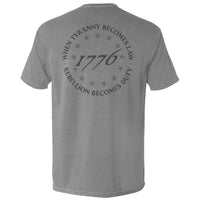 When Tyranny Becomes Law 1776