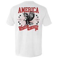 America 250 Years of Freedom