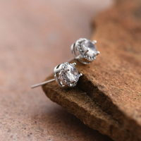 Classic Crystal Halo Stud Earrings