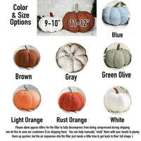 Plush Blair Pumpkin — alternate product view 3